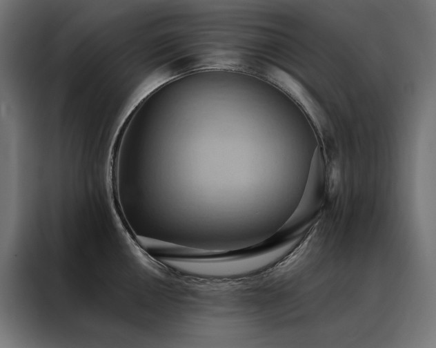 X0000088491050200705221423