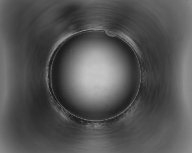 X0000088491051200705221423