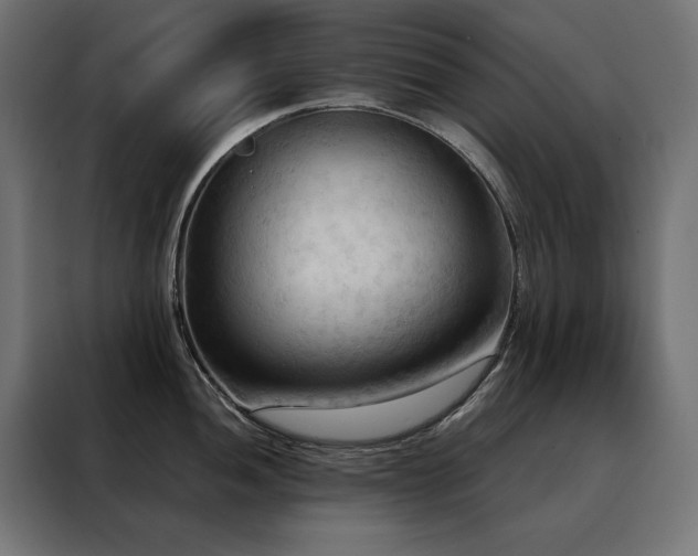 X0000088491052200705221423