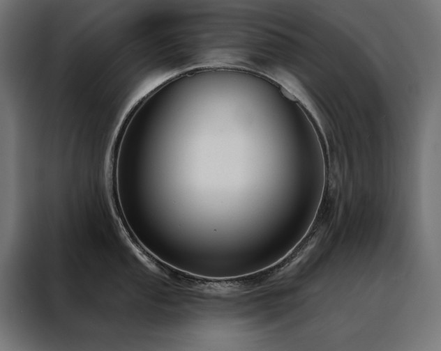 X0000088491053200705221423