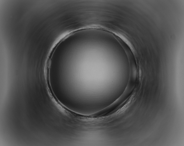 X0000088491054200705221423