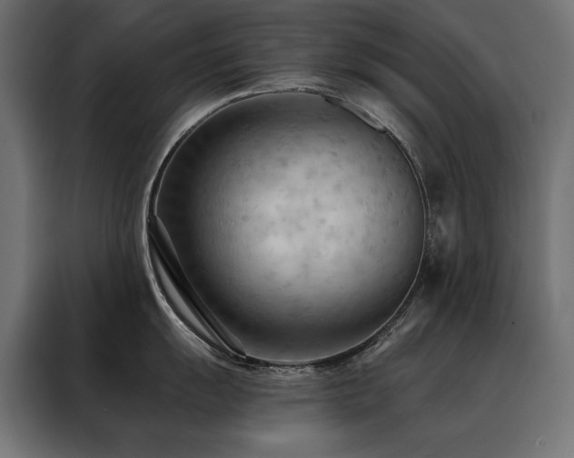 X0000088491055200705221423