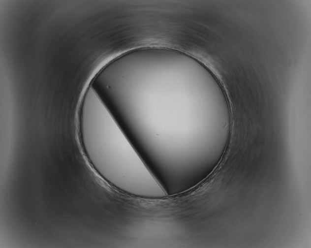 X0000088491056200705221423