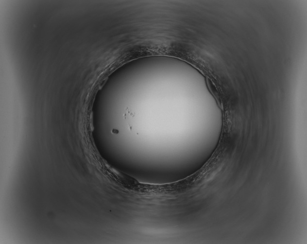 X0000088491057200705221422