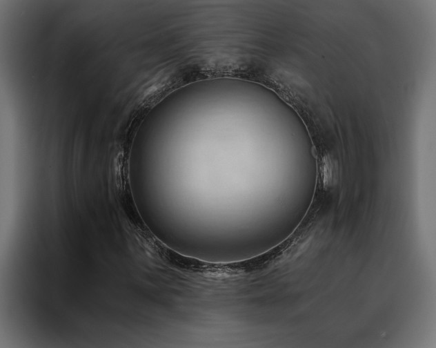 X0000088491059200705221422