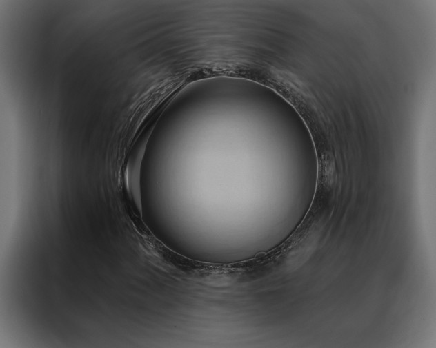 X0000088491060200705221422
