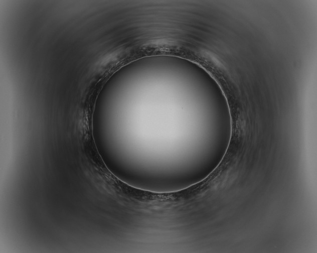 X0000088491062200705221422