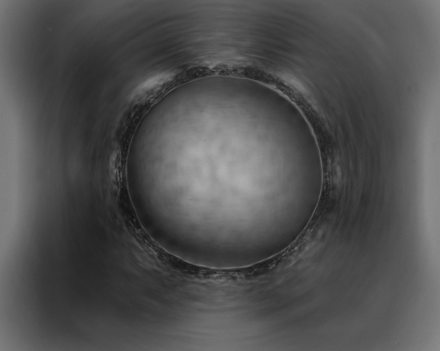 X0000088491063200705221422