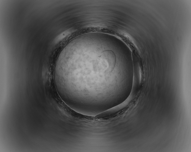 X0000088491064200705221422