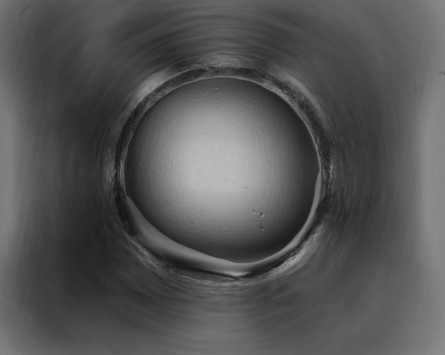 X0000088491065200705221422