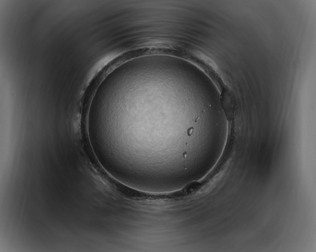 X0000088491066200705221422