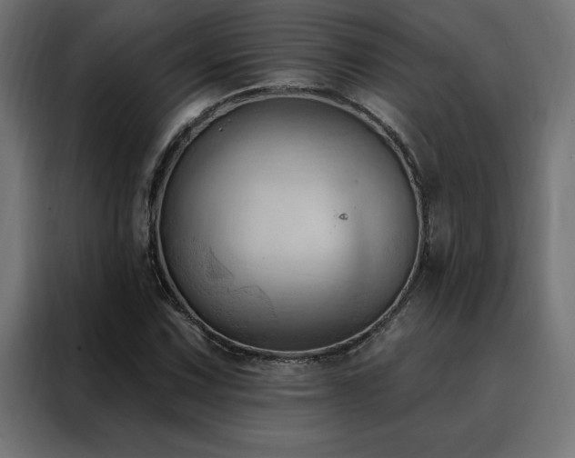 X0000088491067200705221422