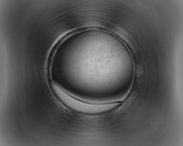 X0000088491068200705221422