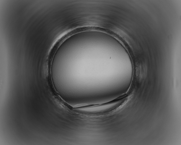 X0000088491069200705221422