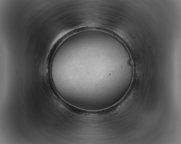 X0000088491070200705221422