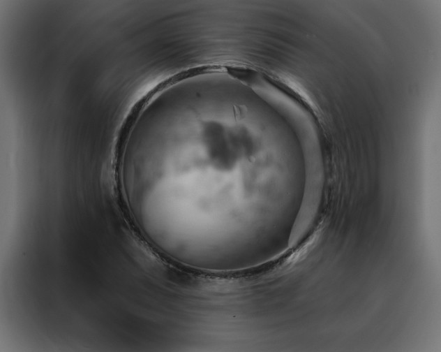 X0000088491071200705221422