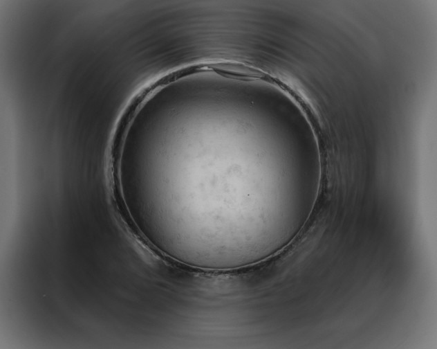 X0000088491072200705221422