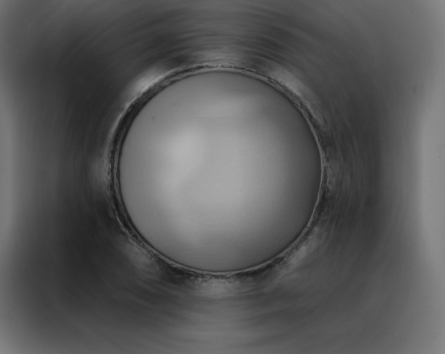 X0000088491074200705221422