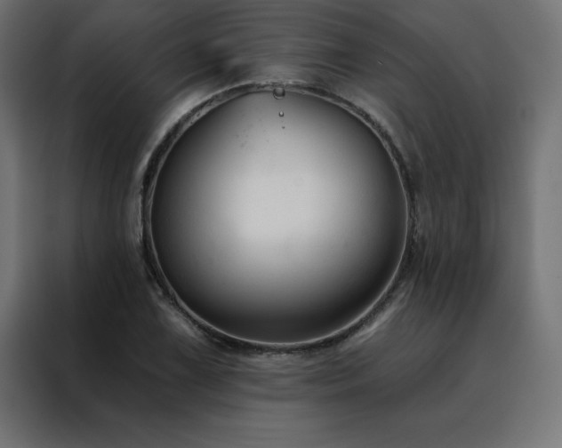 X0000088491075200705221422