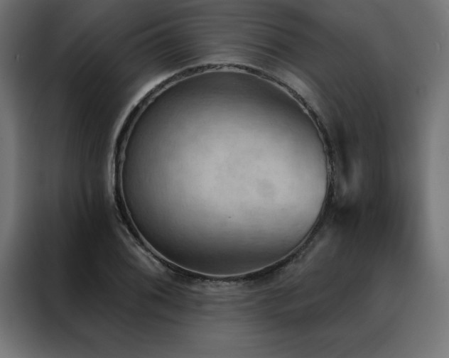X0000088491076200705221422
