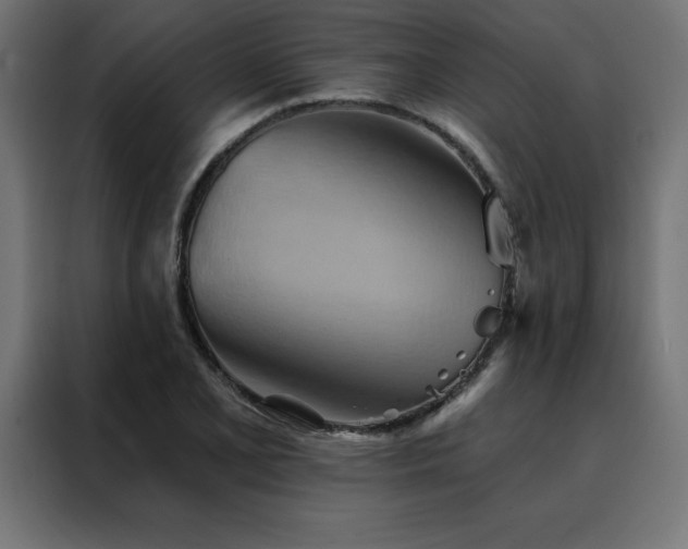 X0000088491077200705221422