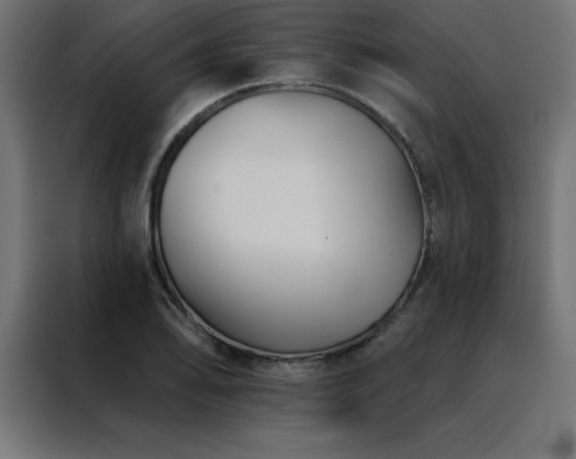 X0000088491078200705221422