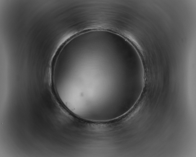 X0000088491079200705221422