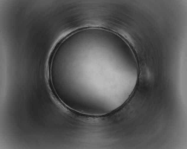 X0000088491080200705221422