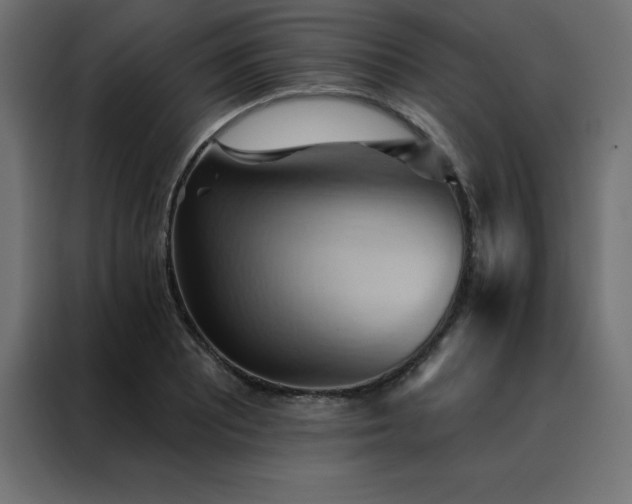 X0000088491081200705221422