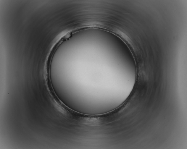 X0000088491082200705221422
