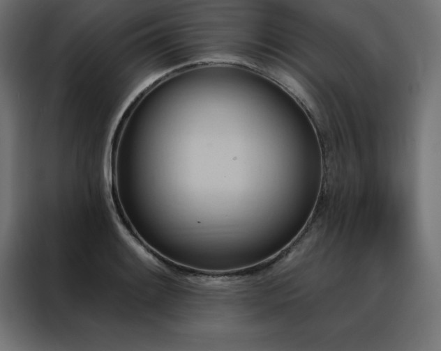 X0000088491084200705221422