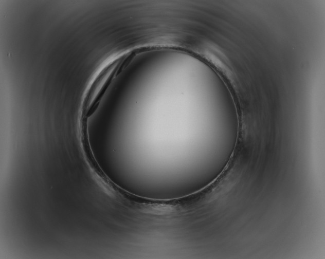X0000088491085200705221422