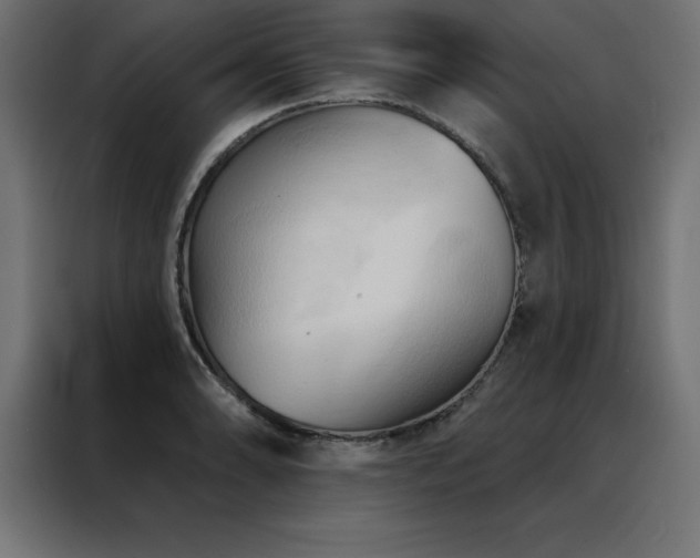 X0000088491086200705221422