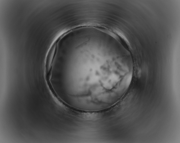 X0000088491087200705221422