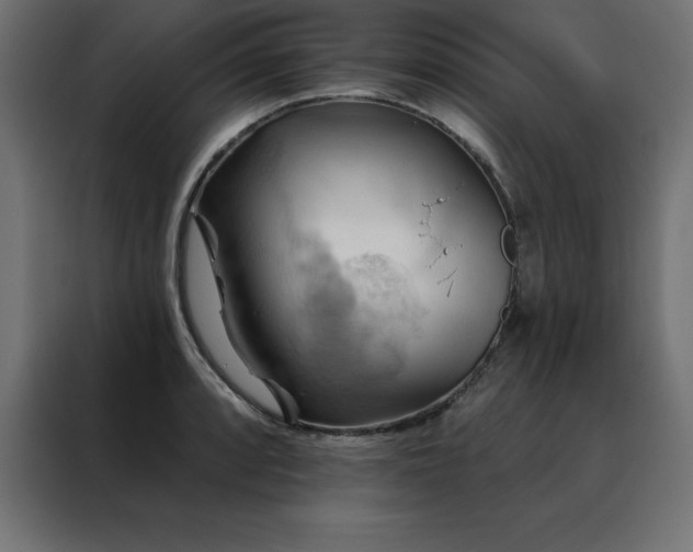 X0000088491088200705221422