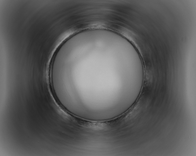 X0000088491090200705221422