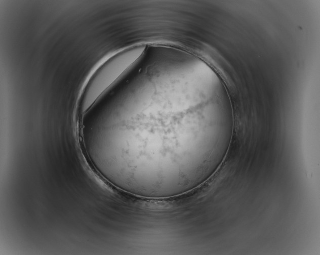 X0000088491092200705221422