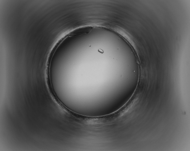 X0000088491093200705221422
