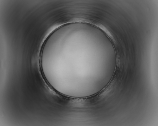 X0000088491094200705221422