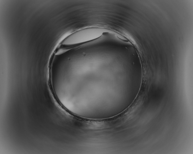 X0000088491095200705221422