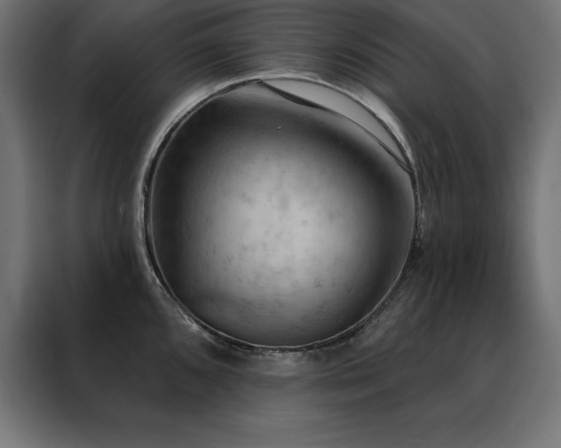 X0000088491096200705221422
