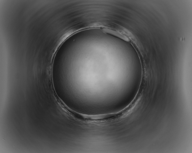 X0000088491097200705221422