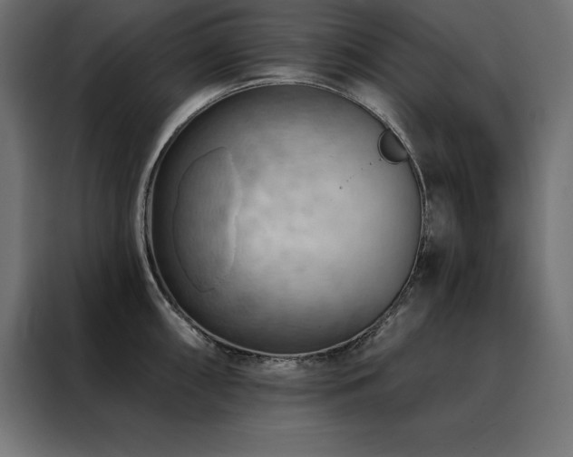 X0000088491098200705221422