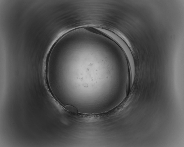 X0000088491099200705221422