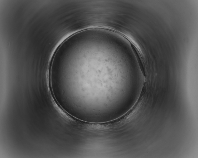 X0000088491100200705221422