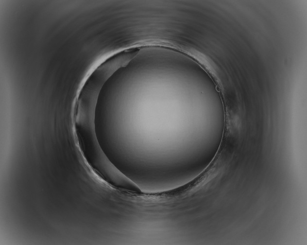 X0000088491102200705221422