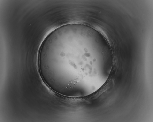 X0000088491103200705221422