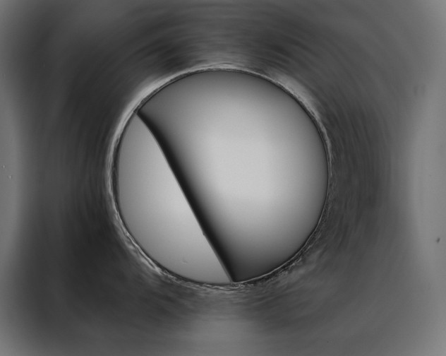 X0000088491104200705221422
