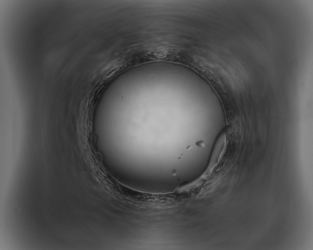 X0000088491105200705221421