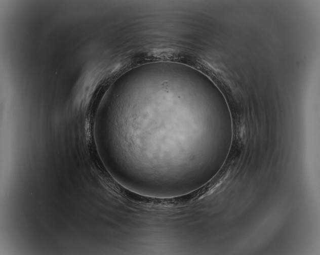 X0000088491106200705221421